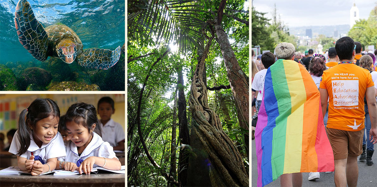 2019 Impact Report