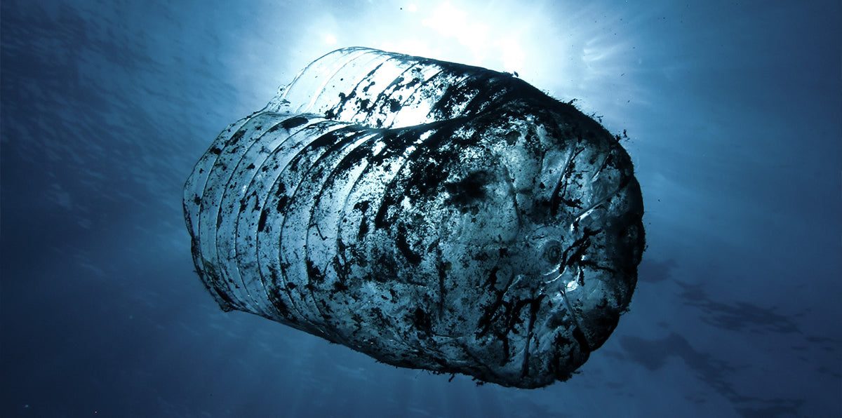 The Plastic Free Challenge - Are you Ready?