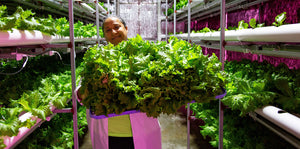 Our Newest Partner: World Central Kitchen!