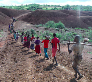 The technique that still solves poverty and deforestation - 1000 years later