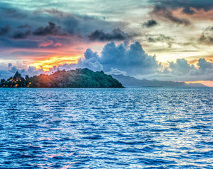 5 Reasons to Protect Our Oceans