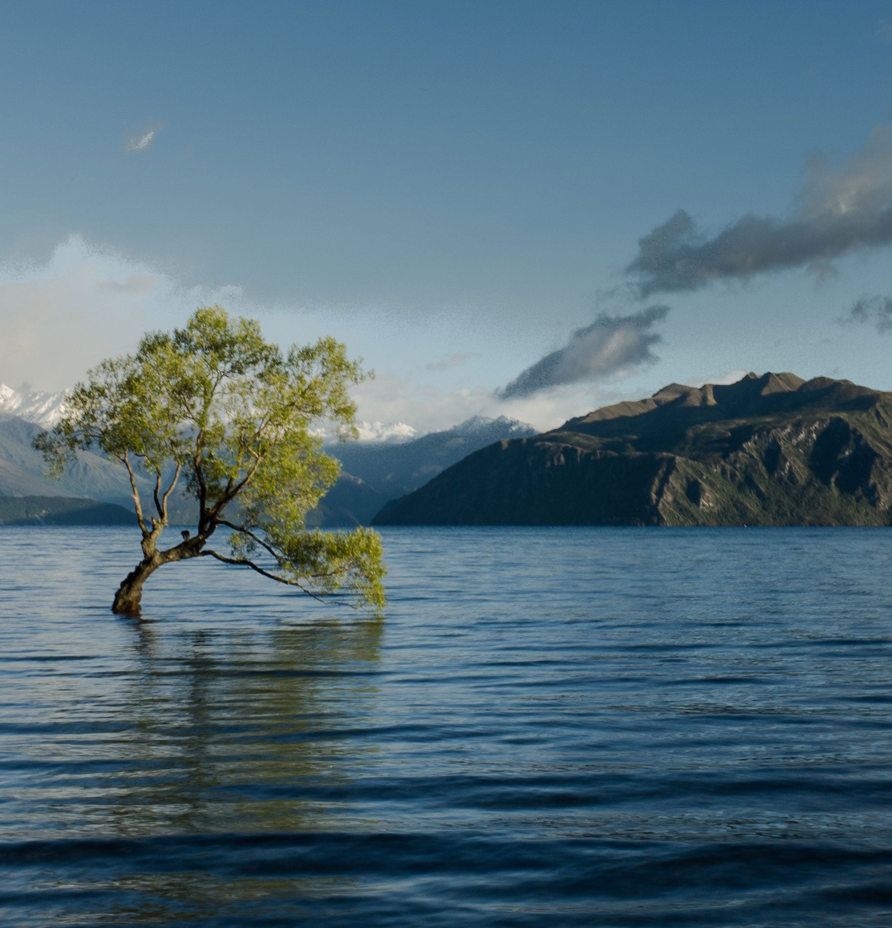 The "Man-Made" Natural Disaster: Climate Change and Extreme Weather