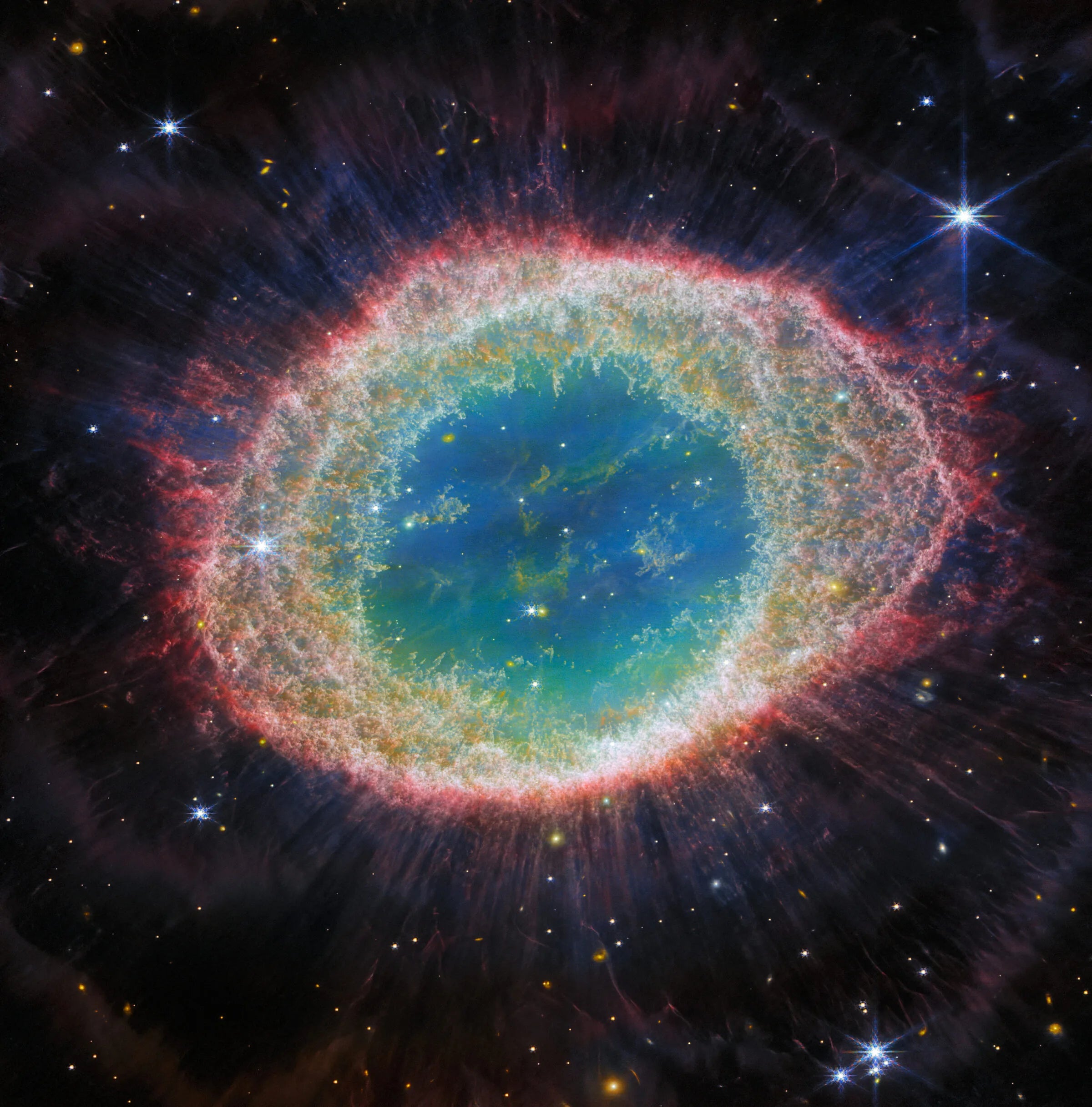 Meet Our Partner: The Planetary Society