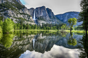 Meet Our Partner: National Parks Conservation Association