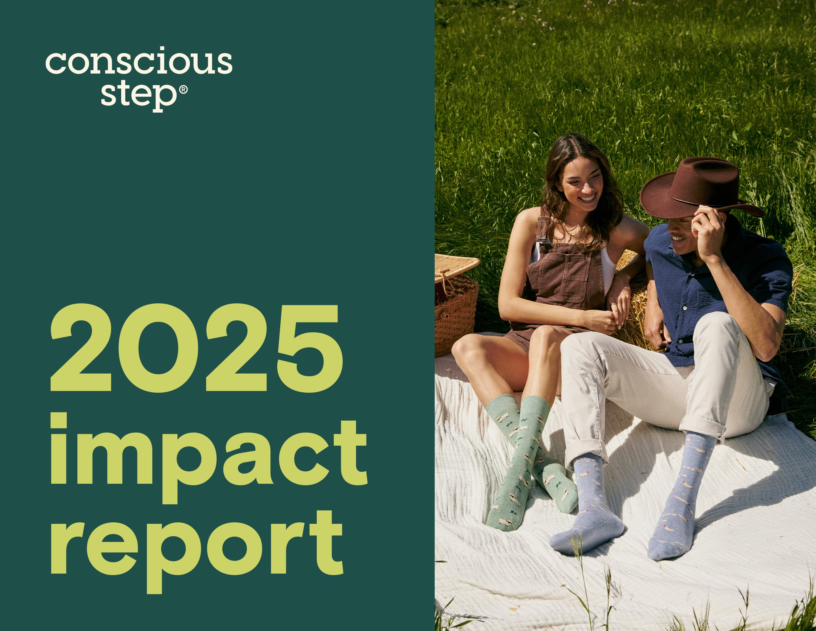 <p><strong>read the full report</strong></p>