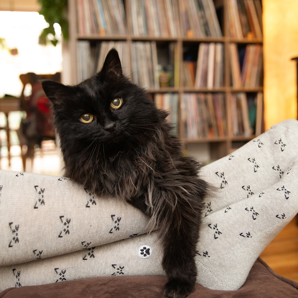 The 35 Best Gifts For Cat Lovers And Their Favorite Feline Friends