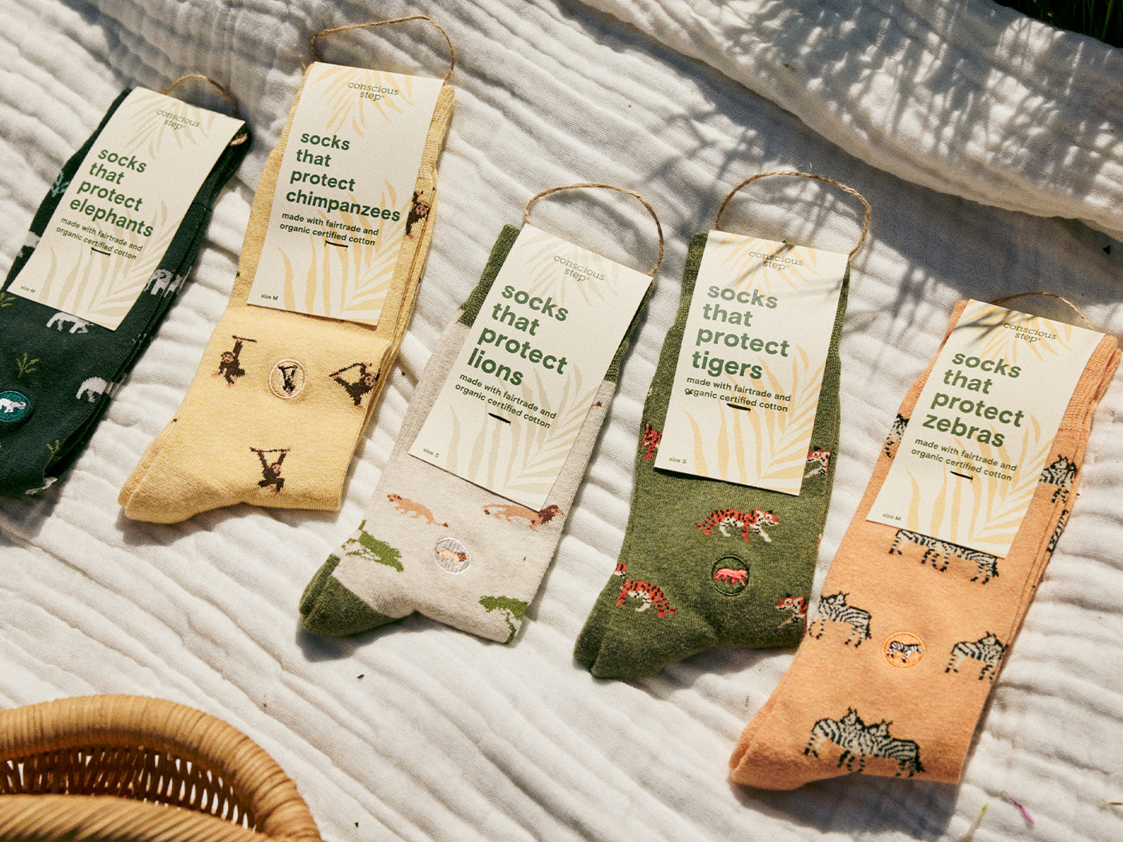 <p><strong>explore our causes</strong></p>