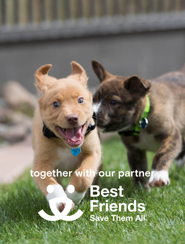 Save Rescue Pets Collection | Support Best Friends Animals Society