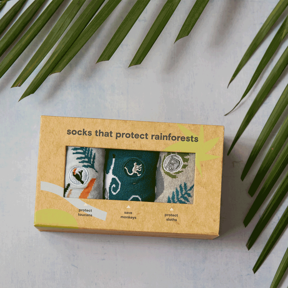 Protect Rainforests Gift Box - Conscious Step