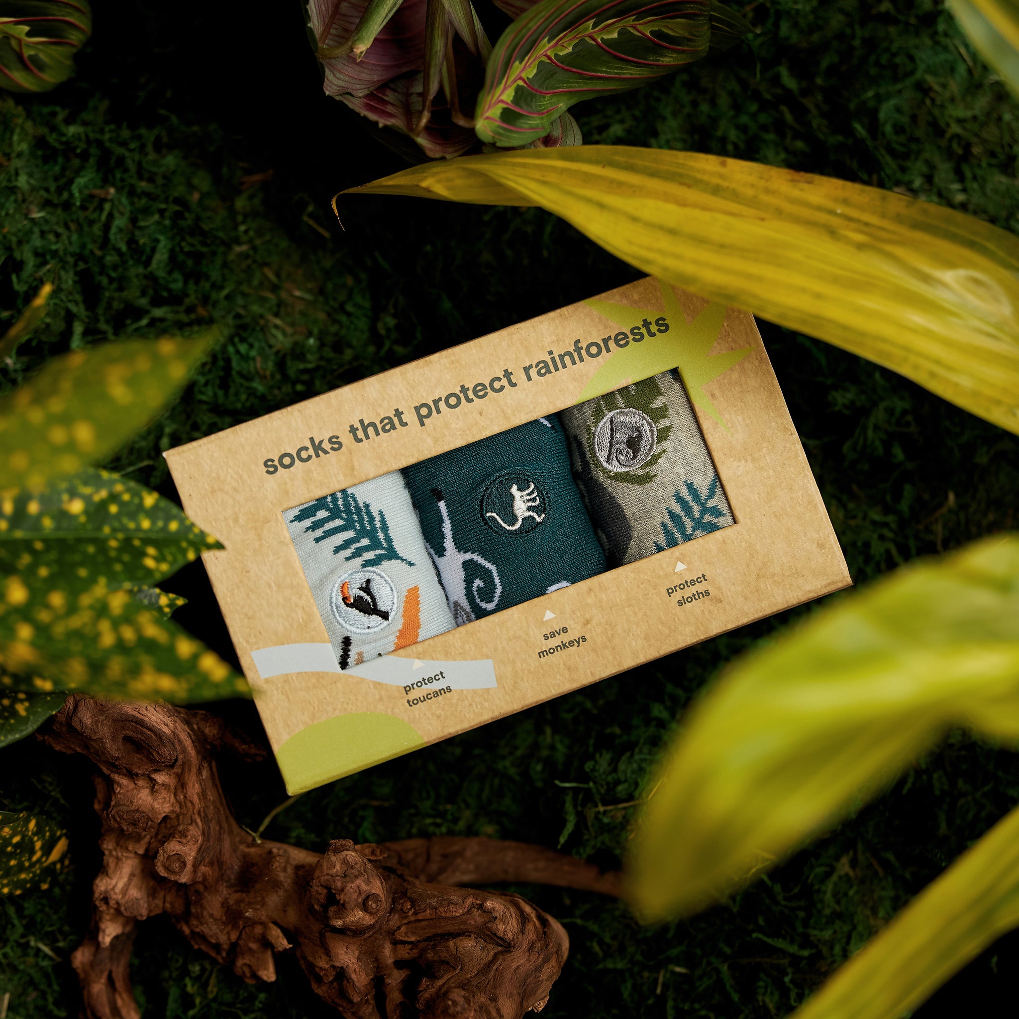 Protect Rainforests Gift Box - Conscious Step