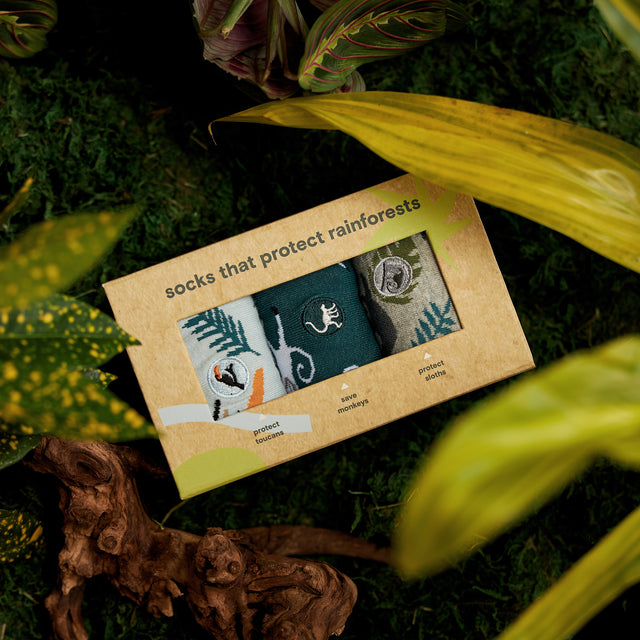 Protect Rainforests Gift Box - Conscious Step