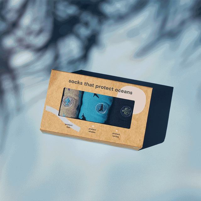 Protect Oceans Gift Box - Conscious Step