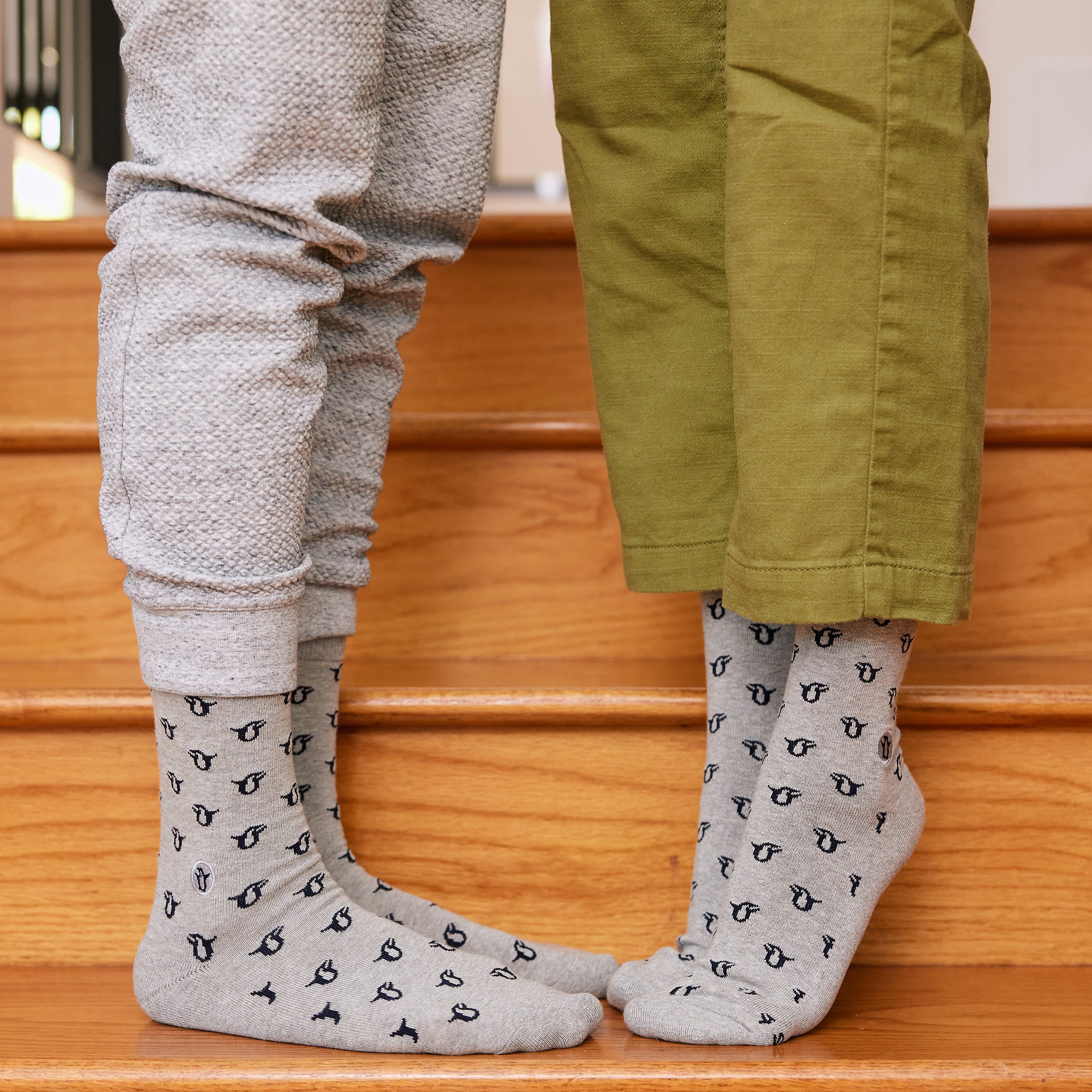 Socks that Protect Penguins - Conscious Step