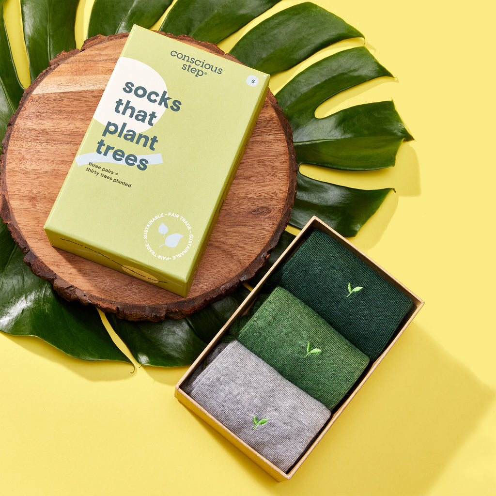 The Best Eco-Friendly Products to Gift in 2024