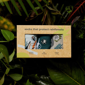 Socks that Protect Rainforests